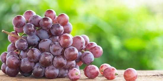 Tips Mencuci Buah Anggur 